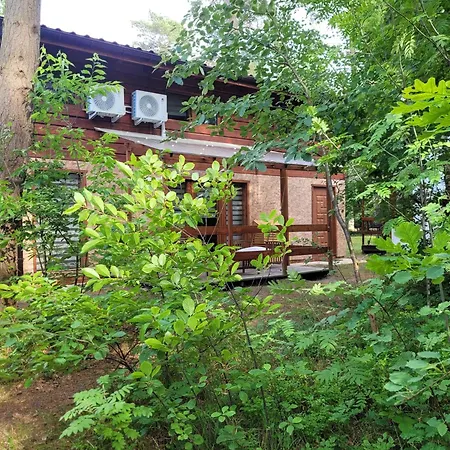 Дом отдыха Osrodek Wypoczynkowy Feniks *